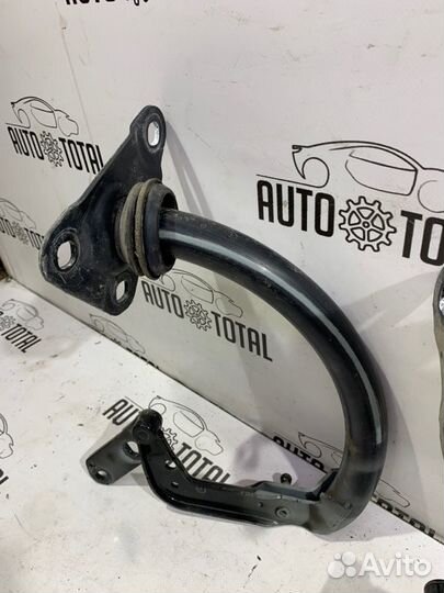 Петли багажника Bmw 745 E65 N62B44 2004