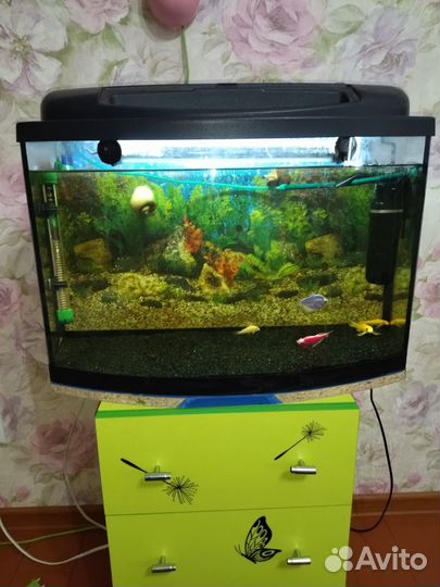 Аквариум