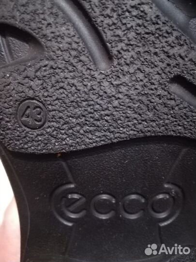 Полуботинки обувь ecco 43