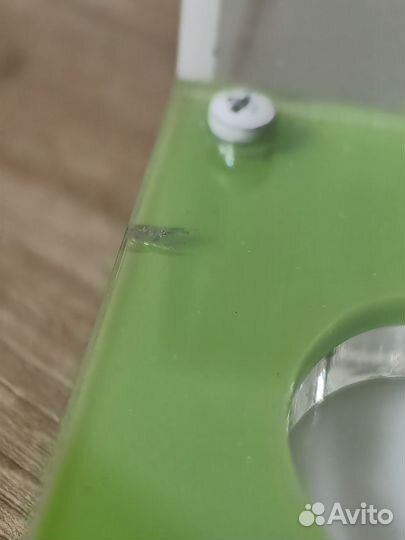 Формикарий, муравьиная ферма