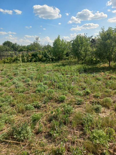 Дом 30,6 м² на участке 5 сот.