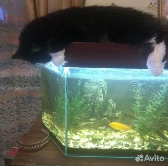 Продам аквариум