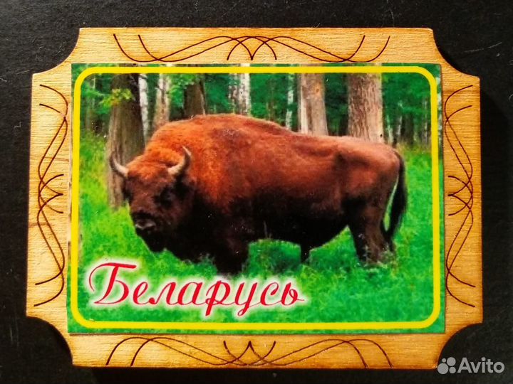 Магниты - Беларусь * Нарочь * Полацк * Таллинн