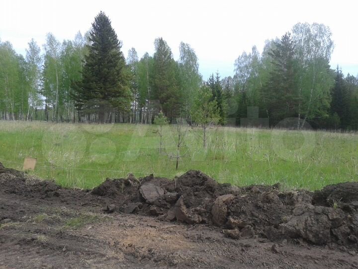 Участок 13,5 сот. (СНТ, ДНП)