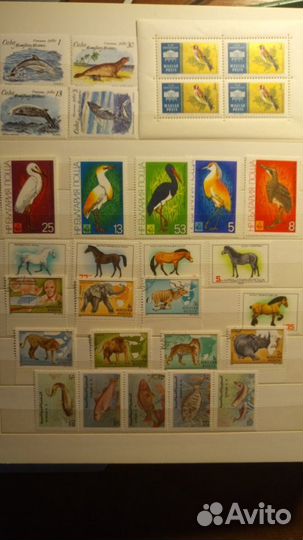 Марки Фауна и Флора СССР и Зарубежные серии 1958-1