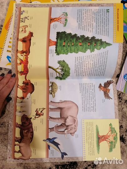 Журналы Школа 7 гномов, возраст 4+