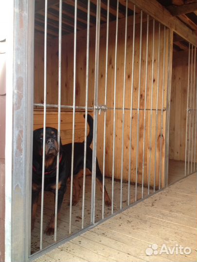 Гостиница для собак, вольерная передержка