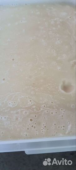 Липовый горный мёд