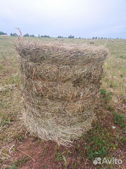 Продам Сено в рулонах 2023