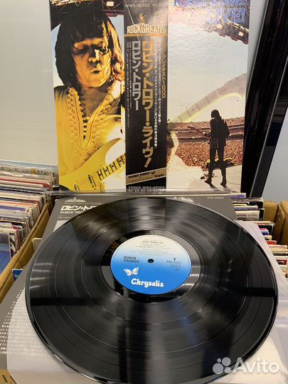 Robin Trower