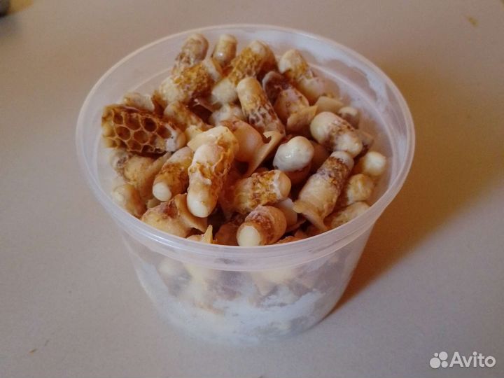 Маточное молочко оптом и в розницу, любое, своë