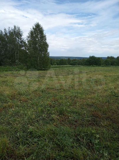 Участок 25 сот. (ИЖС)