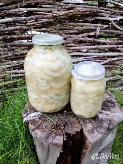 Грузди грибы