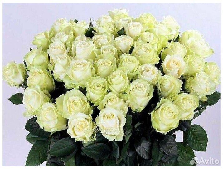 Цветы оптом розы