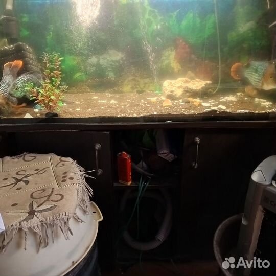 Аквариум 210л с тумбой