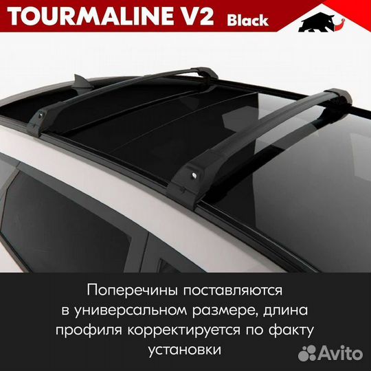 Багажник turtle Black KIA Carnival 3 2014-2020