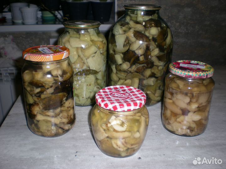 Грибы маринованные
