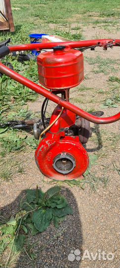 Дружба- 4м электрон