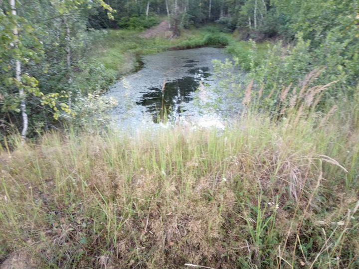 Участок 16,2 га (ИЖС)