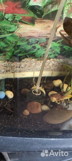 Аквариум