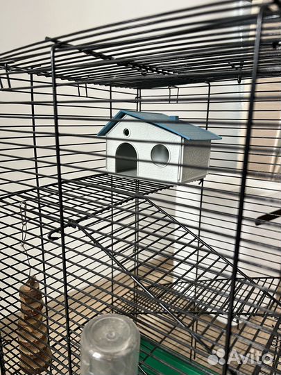 Клетка для грызунов бу