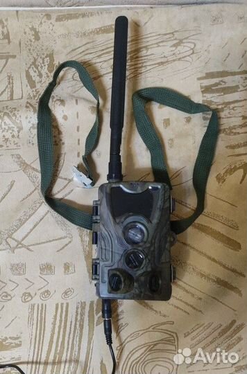 Фотоловушка Филин