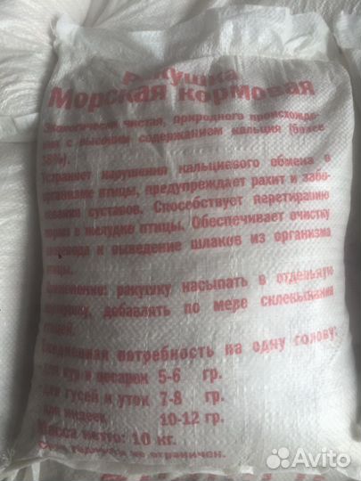 Ракушка морская кормовая