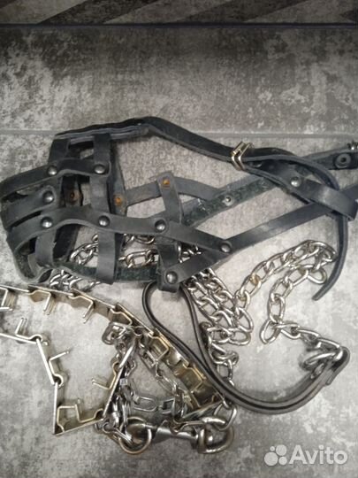 Амуниция для собак