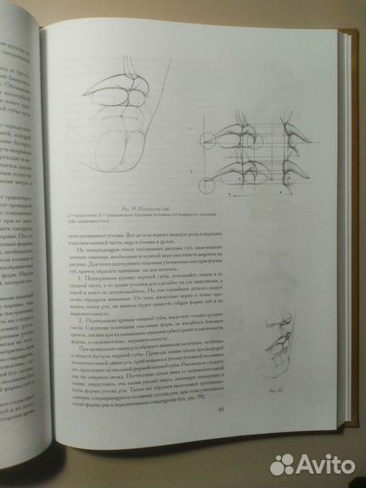 Голова человека. Основы академического рисунка