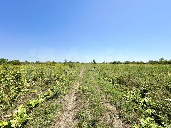 Участок 30 сот. (СНТ, ДНП)