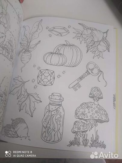 Раскраска Времена года Ханна Карлсон