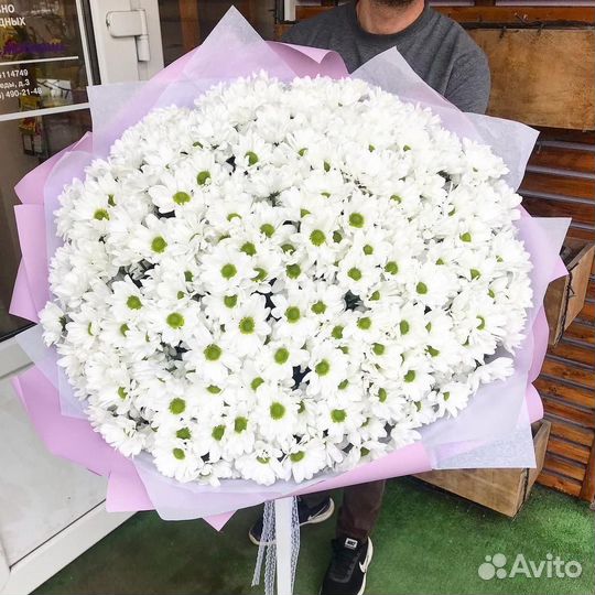 Букет из 51 кустовых хризантем Владимир