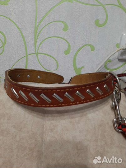 Ошейник для животных