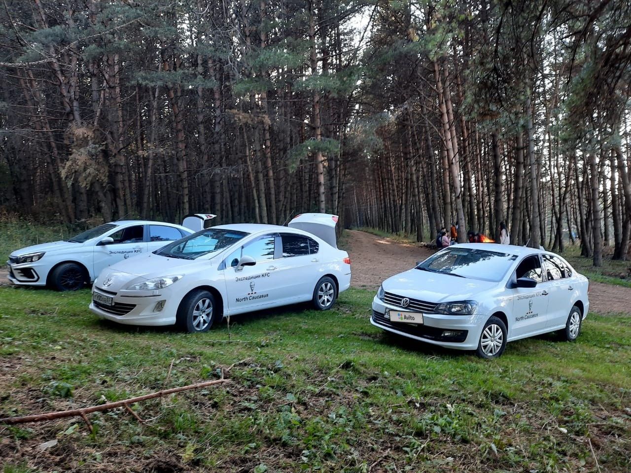 Volkswagen Polo: фото владельца