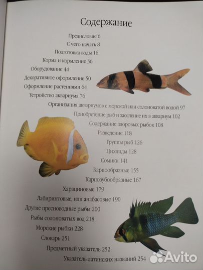 Энциклопедия Аквариумные рыбки. Мэри Бэйли