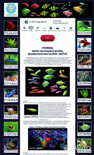 Аквариумные рыбки данио тернеции цветные глофиш