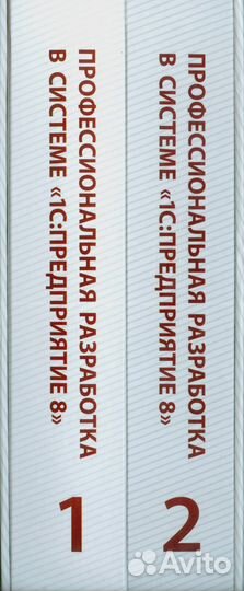 Профессиональная разработка в системе 1С:Предприят