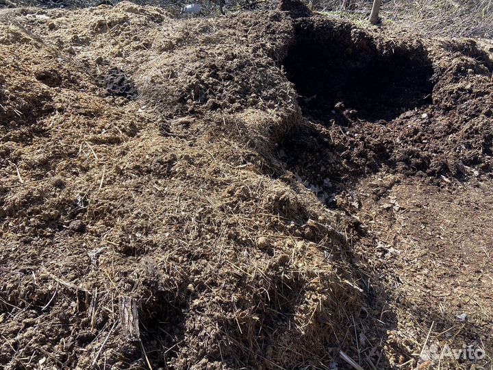 Конский навоз