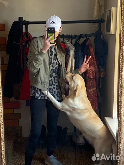 Выгул собак