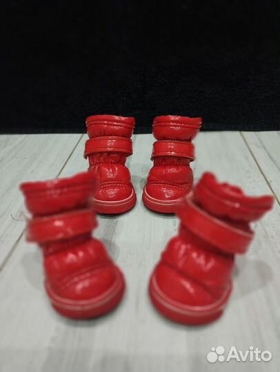 Ботиночки для собачки мелкой породы