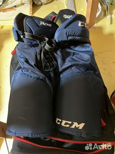Хоккейные шорты ccm