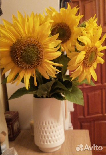Продам подсолнухи для букета