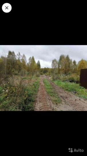 Участок 12 сот. (СНТ, ДНП)