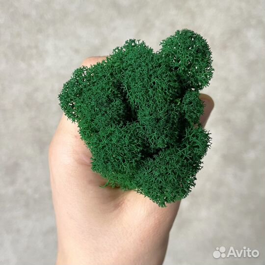 Мох для дизайна, 500г, цвет Лесной Зеленый
