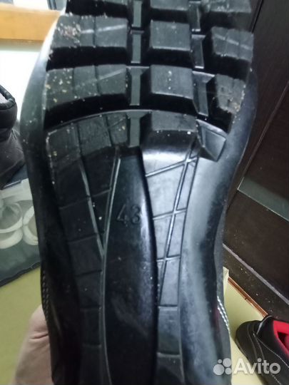 Беговые лыжи fischer carbonlite