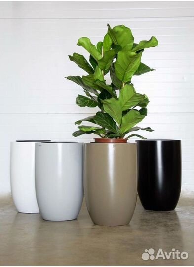 Кашпо индивидуальные по вашим размерам