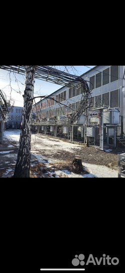 Отель для асиков, хостинг, размещение