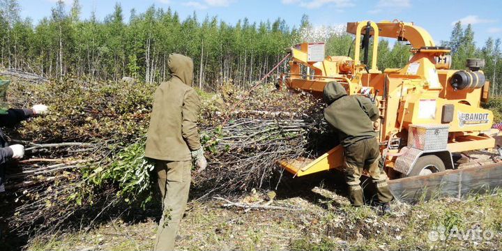 Аренда щепорубильный станок Bandit 18 Xp