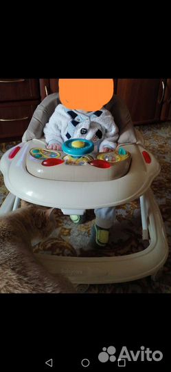 Ходунки детские