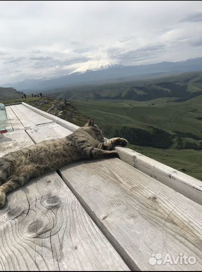 Железноводск Топ-Экскурсия Русская Исландия: к плато Бермамыт из Железноводска в мини-группе